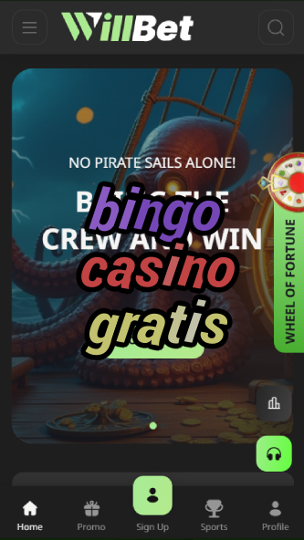 bingo casino gratis-asdasdzhjkds.com
