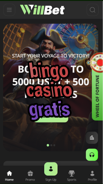 bingo casino gratis-asdasdzhjkds.com